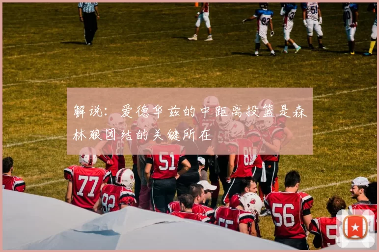 解说：爱德华兹的中距离投篮是森林狼团结的关键所在